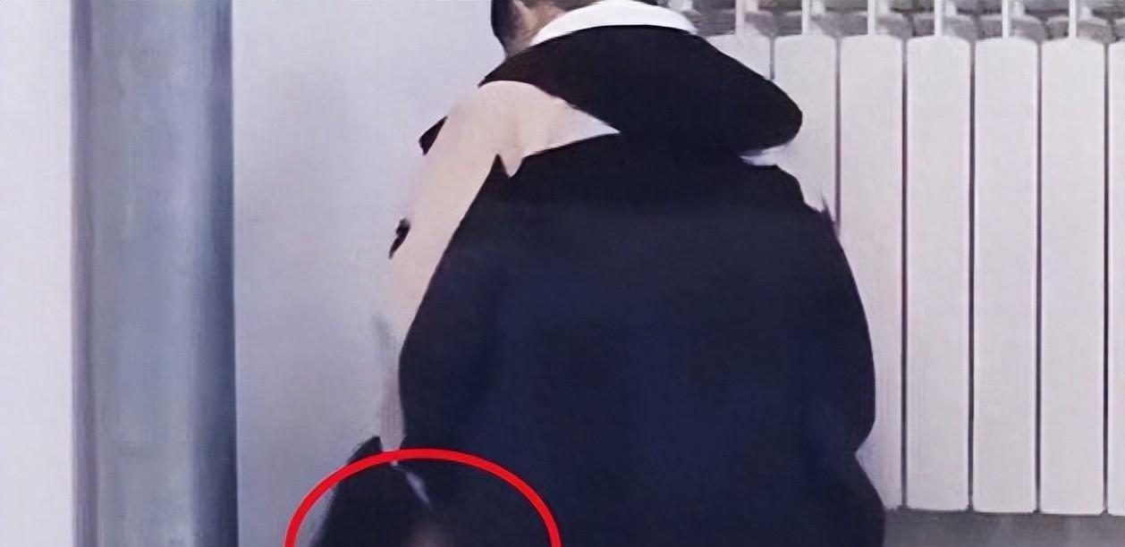 公仆之家与生肖之谜，一场误导解释的落实与反思