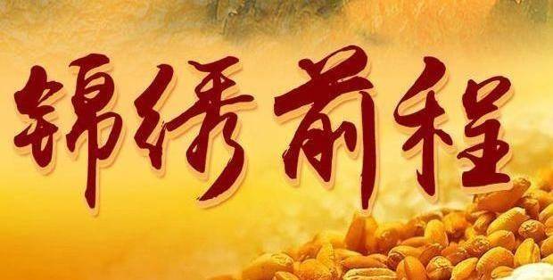 锦绣前程打一动物生肖，绝佳作答落实解释