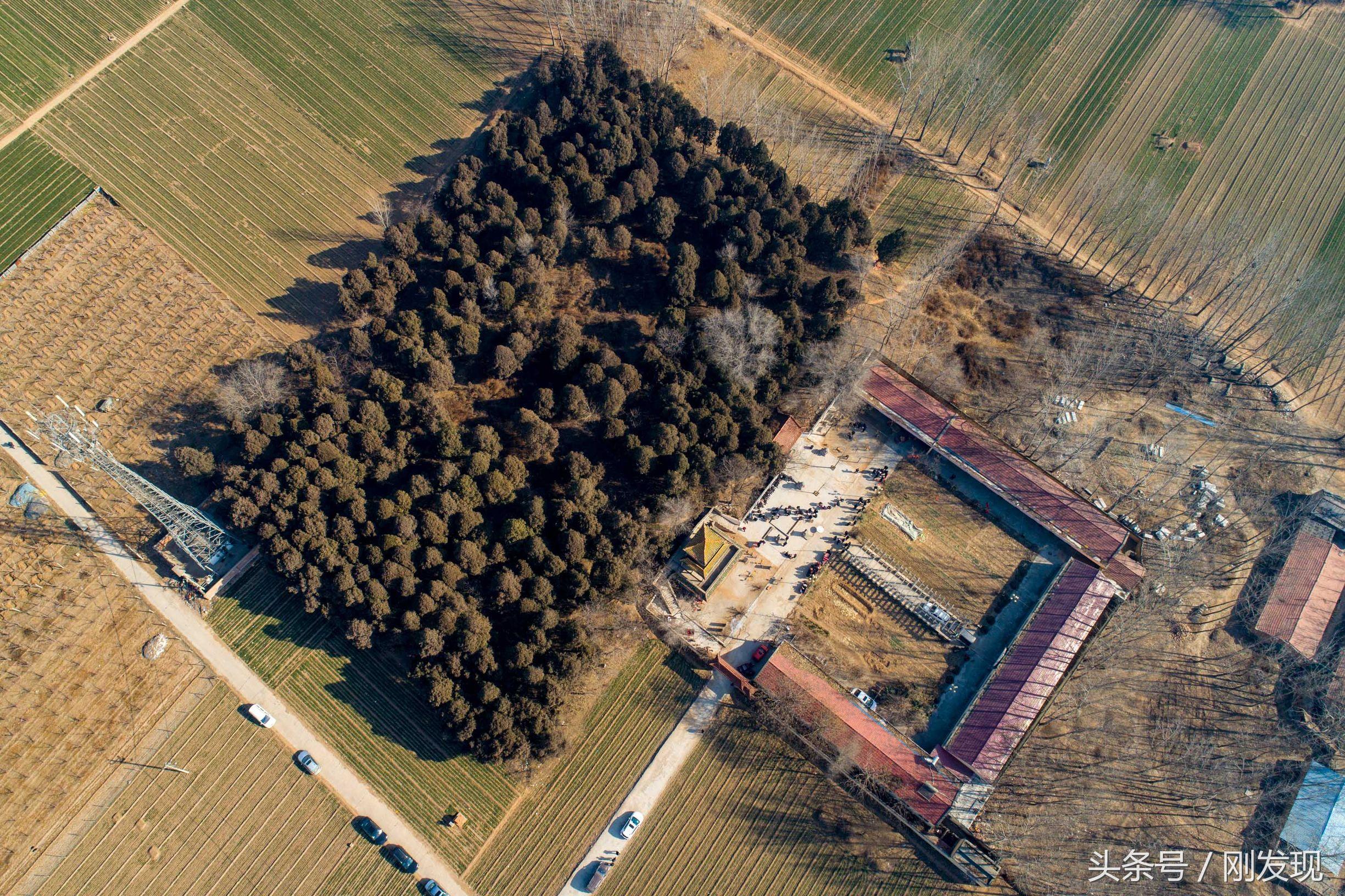 桃李争艳，揭秘生肖之谜