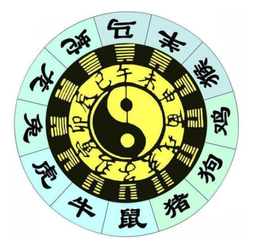 五行是什么生肖,团结解释落实 五行是什么生肖,团结解释落实