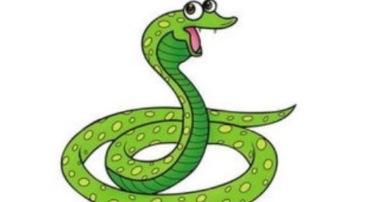 机不可失打一生肖动物，与积极行动的完美结合