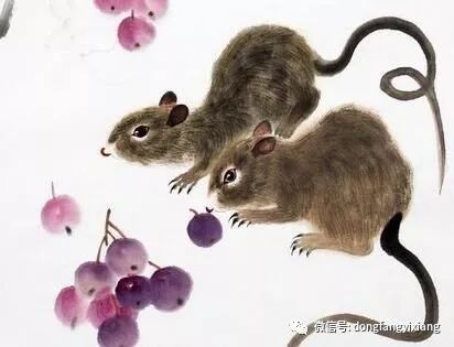 己卯日属什么生肖,解析作答落实解释 己卯日属什么生肖,解析作答落实解释