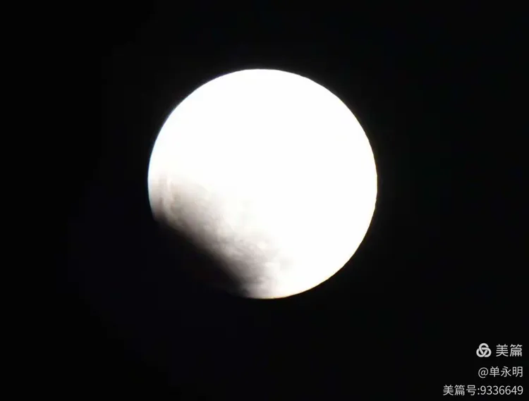 缺月再圆，生肖之谜的定量解析