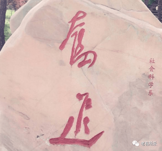 独步天下是指什么生肖，选择解释落实