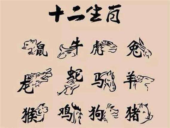 眼高手低猜一生肖?中蕴含的哲理