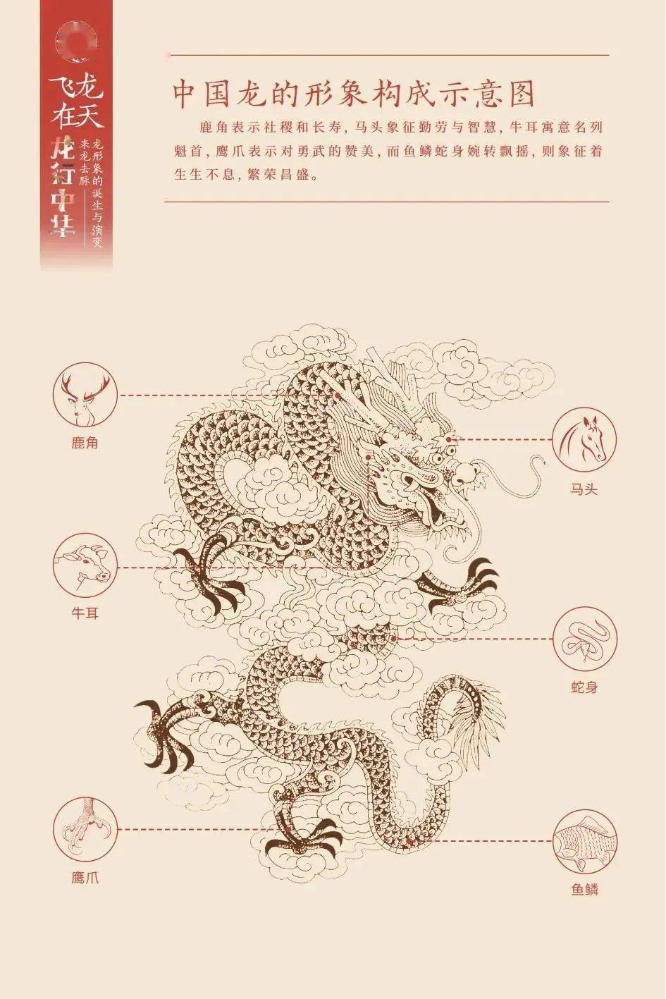 同心同德，生肖中的和谐典范—以龙为例的深度解析与现代实践