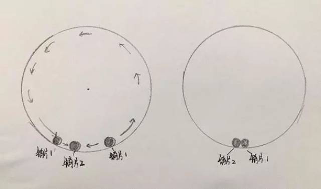 揭秘山中之王—生肖之谜的深度解析 揭秘山中之王—生肖之谜的深度解析