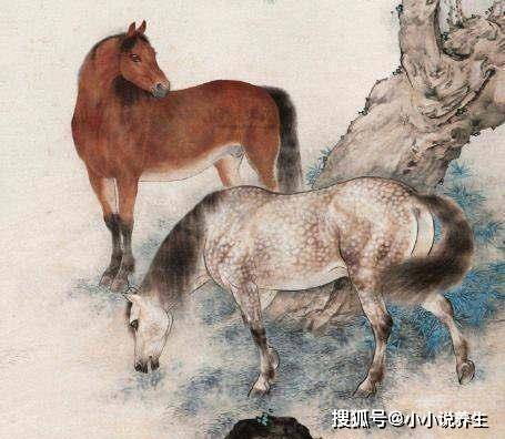 四蹄生风是指什么生肖，的精准解答与落实精神