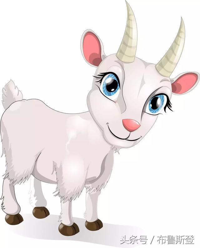 什么生肖没有牙齿,积极解释与落实的转变 什么生肖没有牙齿,积极解释与落实的转变