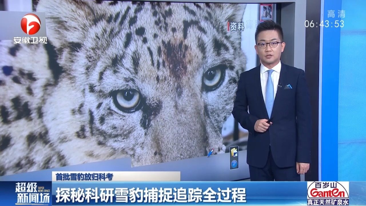 野性难驯，谜底揭晓，探秘豹之谜