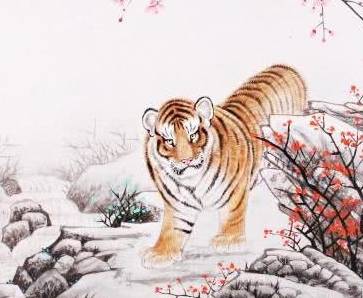 属虎的三合生肖，解析作答落实解释