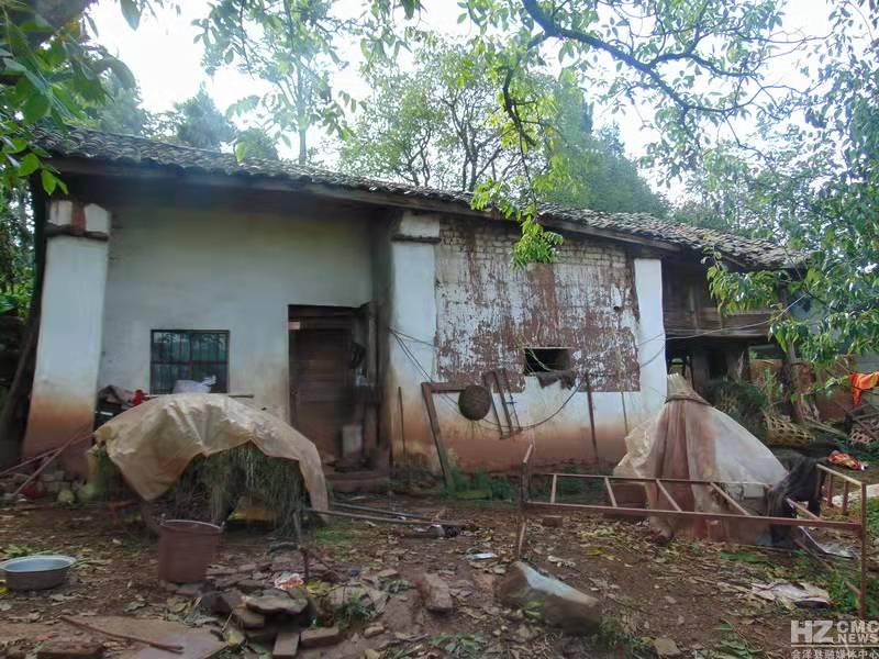 虎年和什么生肖最配，团结解释落实