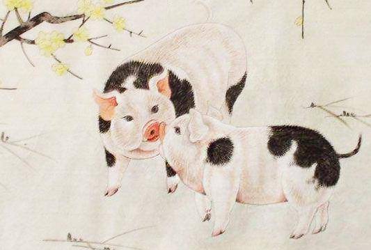 步步为营的生肖，通用解释落实