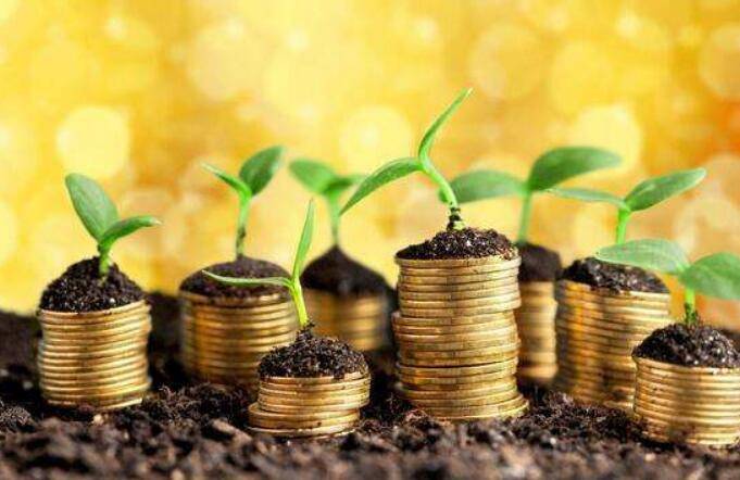 土生金是什么生肖，时代解释落实