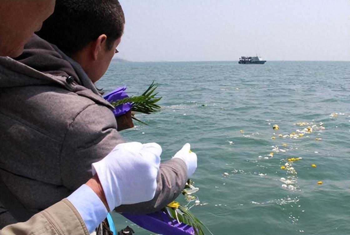 海葬图片猜一动物?正确解释与落实