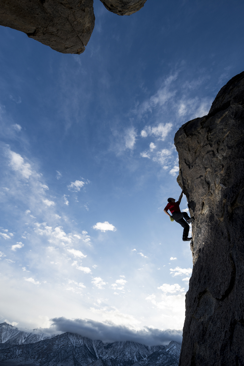 梨花代表什么生肖，背后的坚韧与不屈