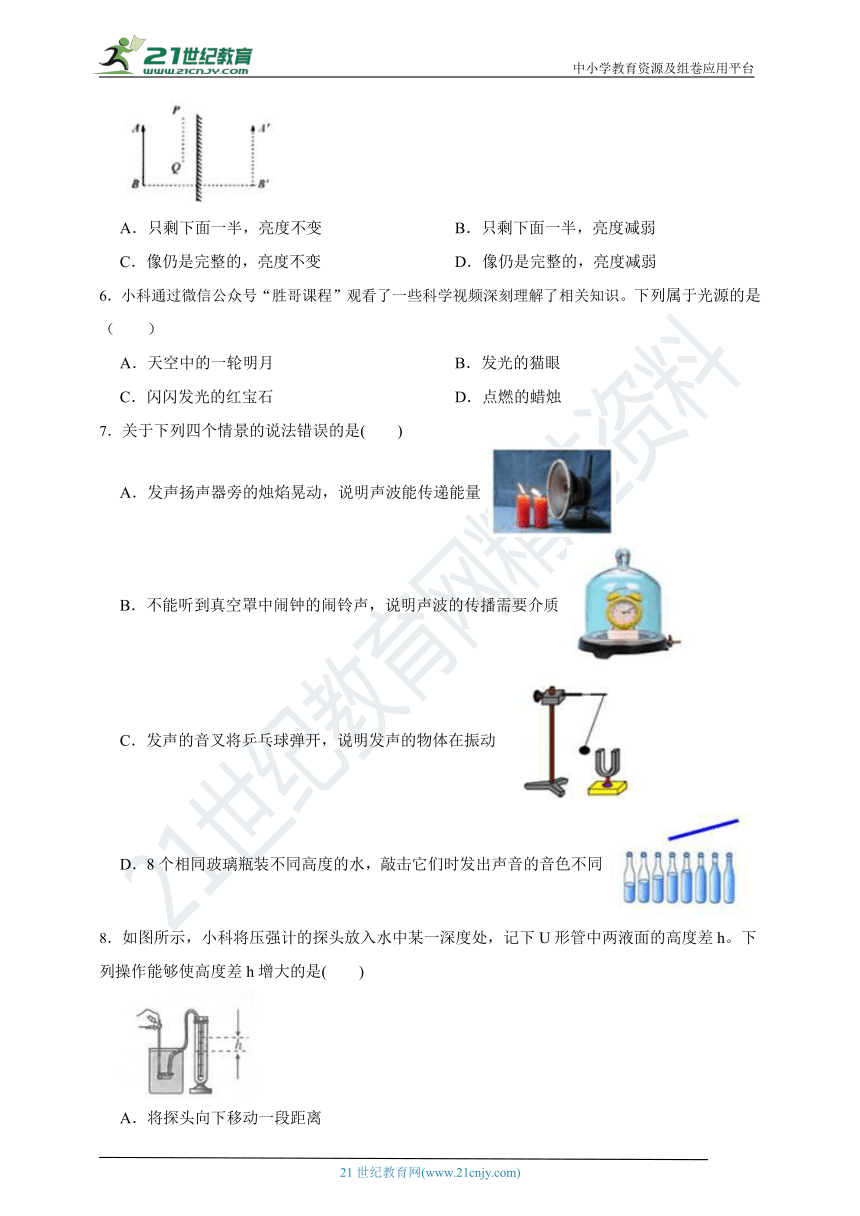 十二生肖中谁最不怕冷，科学解析与最快解答