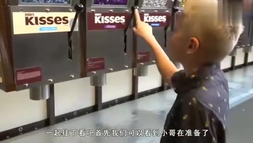 娱心悦耳,揭秘生肖中的听觉享受 娱心悦耳,揭秘生肖中的听觉享受