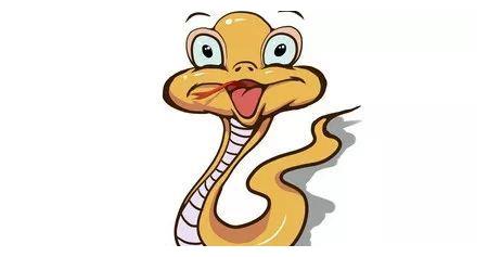 四分五裂猜一最佳生肖，热议、解释与落实的智慧之旅