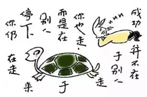 虚惊一场猜一生肖，中蕴含的哲理