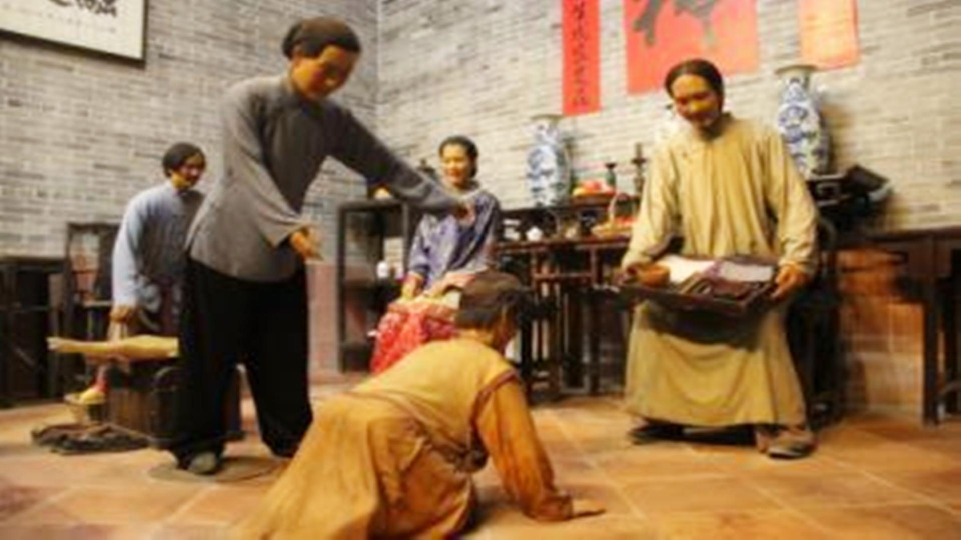 巴结高枝打一正确生肖，沉稳作答落实解释