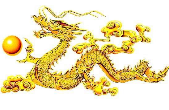 北门南牙是指什么生肖，喜欢作答落实解释