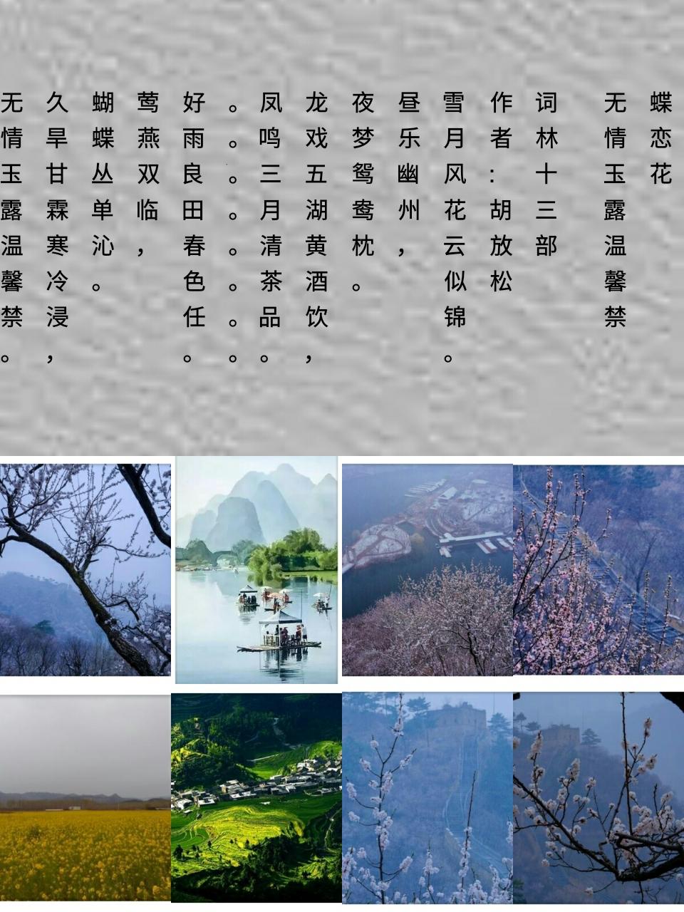 玉露代表的温馨解析与文化解答