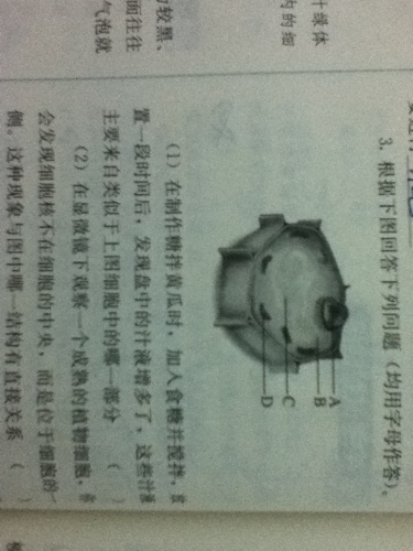 飘然若仙猜一生肖?详细作答落实解释