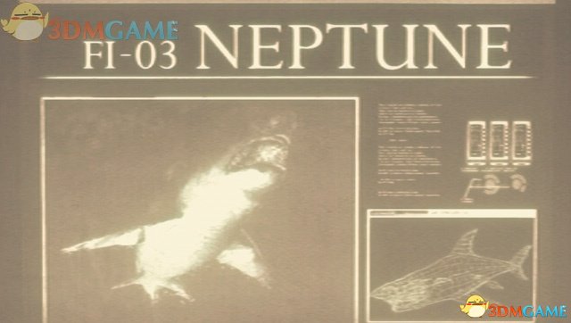 谜题揭秘，东躲西藏与生肖的奇妙联系