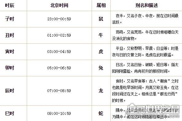 巳时属什么生肖，通常作答落实解释