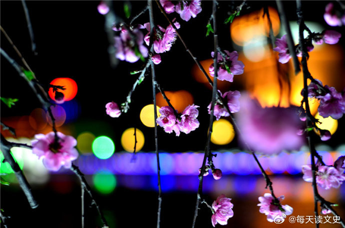 花红柳绿不夜天猜一生肖，精选解析与落实的详细结果