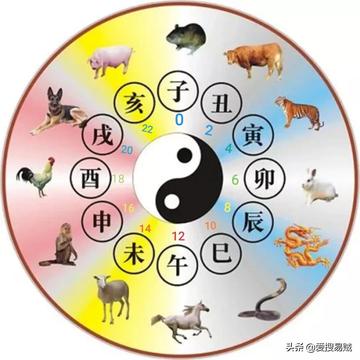 盲人瞎马，揭秘生肖背后的智慧与策略