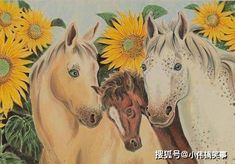 马的三合生肖,坚韧与不屈的背后 马的三合生肖,坚韧与不屈的背后