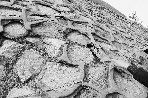 谜题揭秘，年久失修的背后—揭秘正确生肖与友爱精神的双重解读