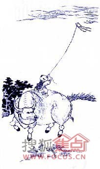 鸡头鸡尾的生肖之谜,解析与文化寓意 鸡头鸡尾的生肖之谜,解析与文化寓意