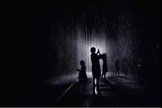 天天向上的生肖，不安分之选中的成长与蜕变