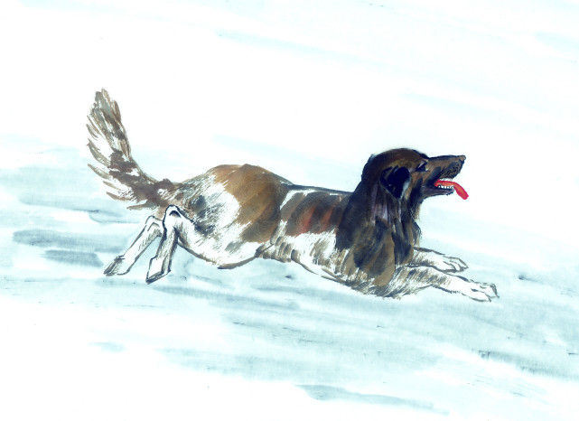 属狗人的最佳生肖配对,精选解析与落实的详细结果 属狗人的最佳生肖配对,精选解析与落实的详细结果