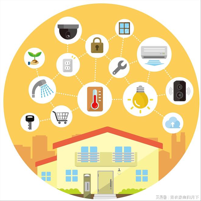 探索五更生肖动物，传统智慧与现代生活的融合