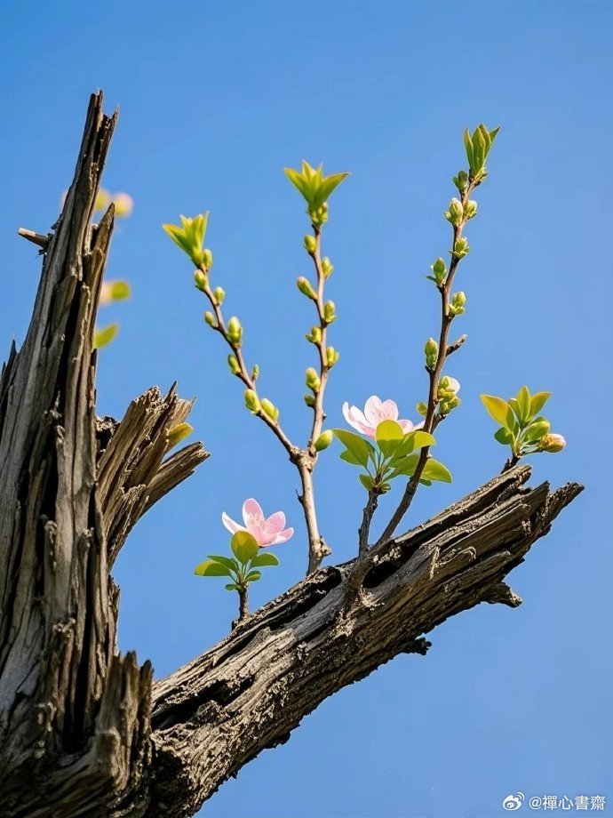 孤魂野鬼与生肖之谜,探寻生命哲理的幽微之处 孤魂野鬼与生肖之谜,探寻生命哲理的幽微之处