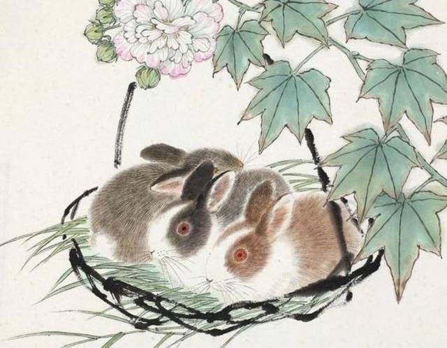 行善积德的生肖，揭秘如何选择并落实正确的