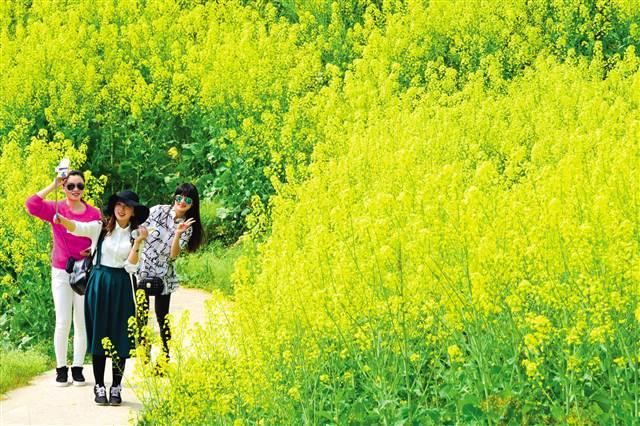 鸟语花香与积极行动，生肖之谜的完美结合