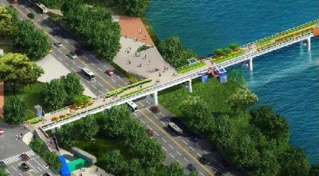 风雨一生桥与路，谜底揭晓—探寻风雨一生背后的动物寓意