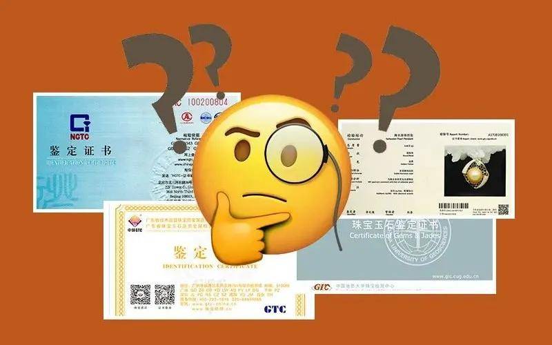 眼花缭乱猜生肖，一场文化与智慧的盛宴