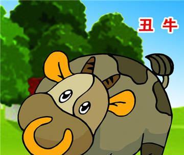 言而无信的生肖，真相解释落实