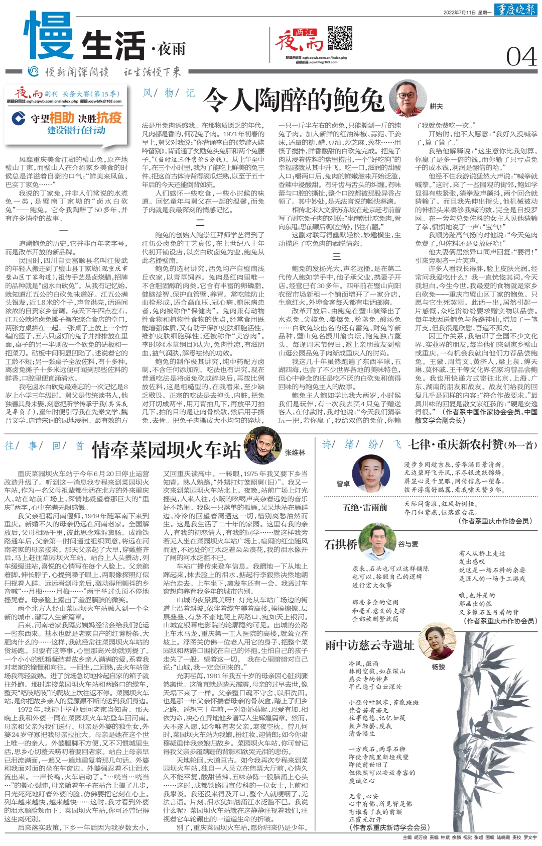 大家闺秀与生肖的神秘联系，以兔为例的非凡解释与文化落实