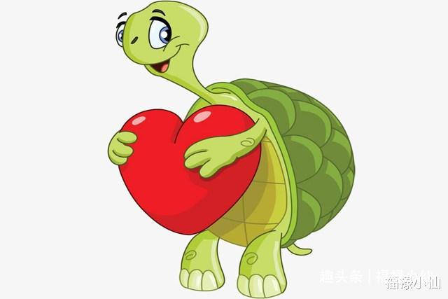 抠心挖胆是指什么生肖，专业作答落实解释