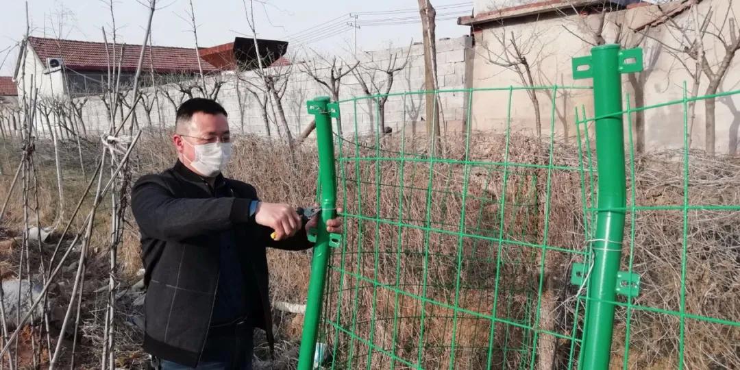 烽火连天中的智慧之鼠,积极行动的完美诠释 烽火连天中的智慧之鼠,积极行动的完美诠释