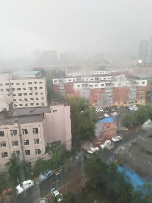 狼烟四起是指什么生肖，背后的坚韧与不屈