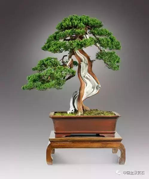 沐雨栉风是什么生肖,精选解析与落实的详细结果 沐雨栉风是什么生肖,精选解析与落实的详细结果