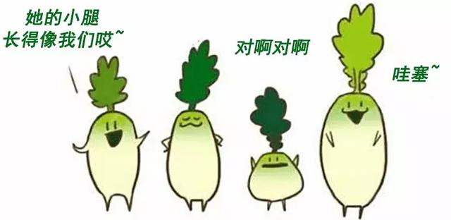 粗衣粝食打一正确生肖，中蕴含的哲理